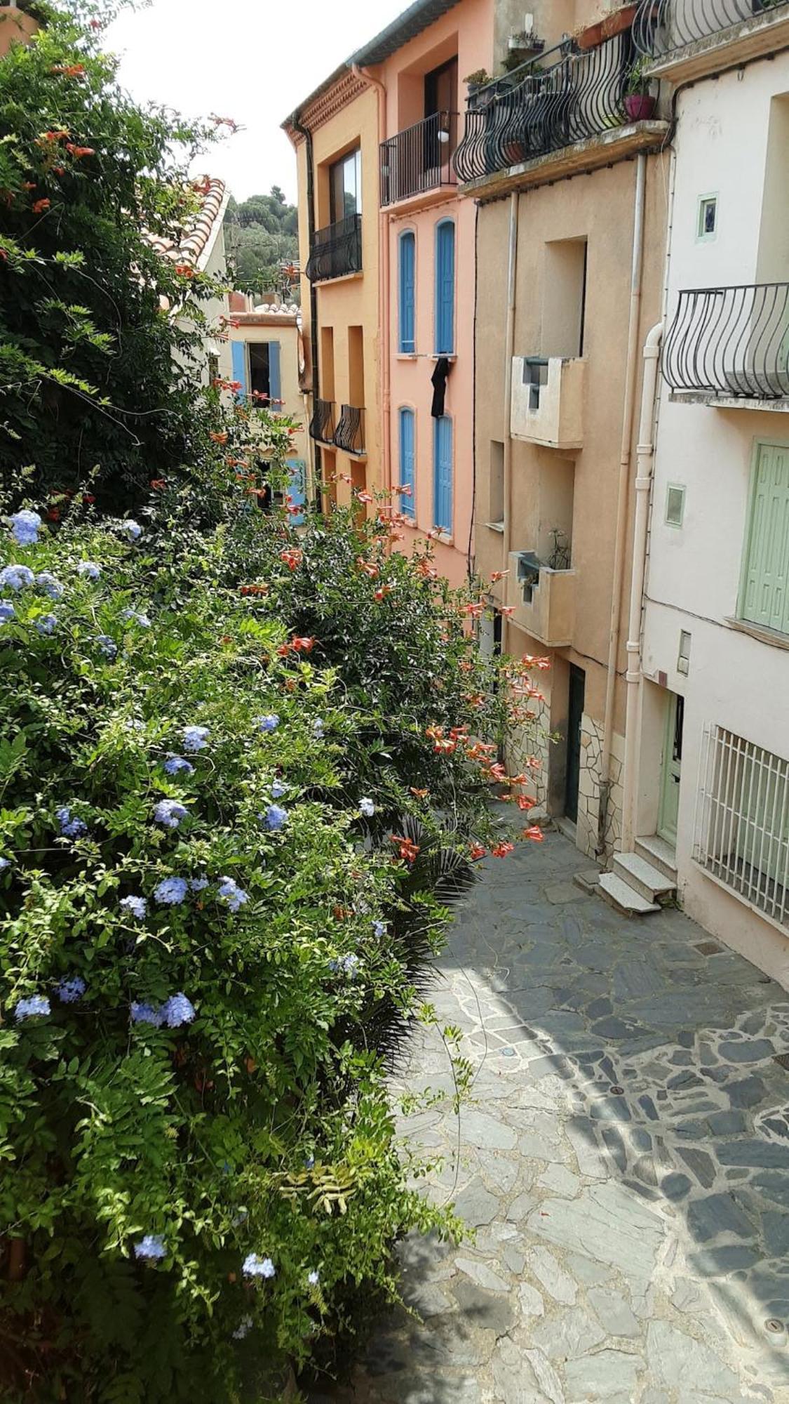 Jetez L'Ancre Dans Notre Maison De Pecheur ! Collioure Exterior foto